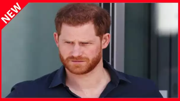 ✅  Le prince Harry dans le « chagrin » et « désemparé par la fracture royale »