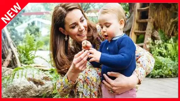 ✅  Kate Middleton furieuse : cette attaque qui l'a fait sortir de ses gonds