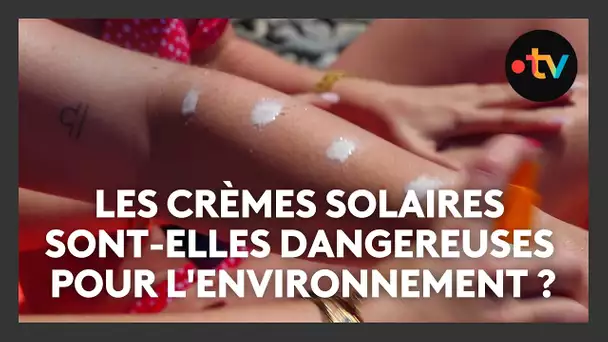 Les crèmes solaires sont-elles dangereuses pour l'environnement ? Des chercheurs tentent de répondre