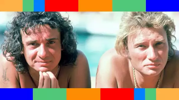 🔥💔  Michel Sardou et Johnny Hallyday brouillés à cause de… la Star Academy