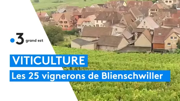 Voyage dans les caves ancestrales du village viticole de Blienschwiller