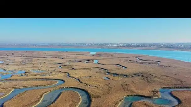 Réchauffement climatique : pourquoi est-il (très) important de préserver les zones humides ?