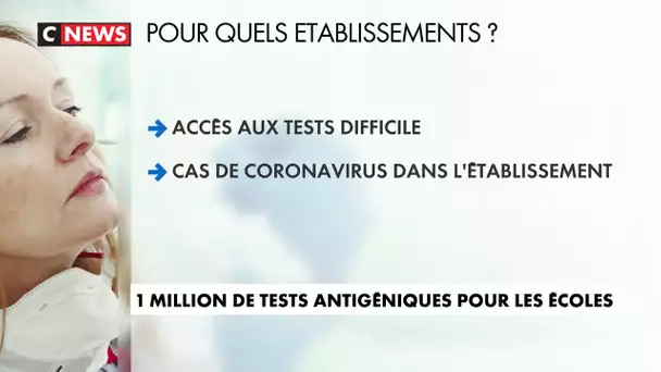 Coronavirus : un million de tests antigéniques pour les écoles