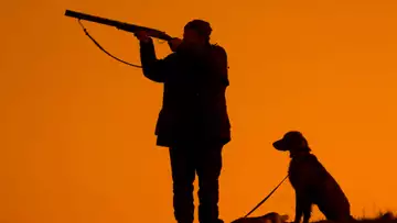 Accident de chasse : une randonneuse abattue par une chasseuse de 17 ans dans le Cantal