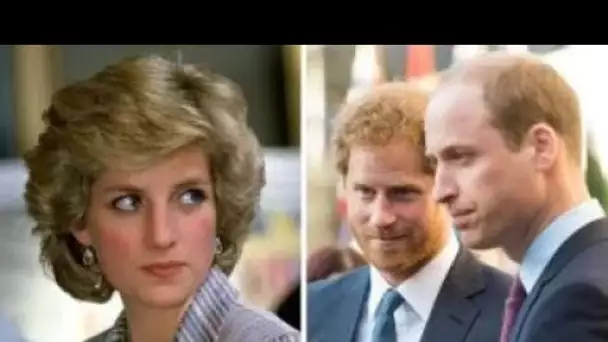 Le pacte "rompu" de Harry et William avec la revendication de Diana mis à nu: "Promettez de le tenir