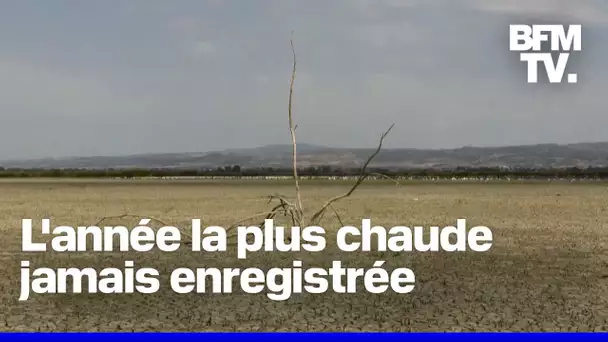 En 2024, le seuil de 1,5°C de réchauffement climatique a été dépassé