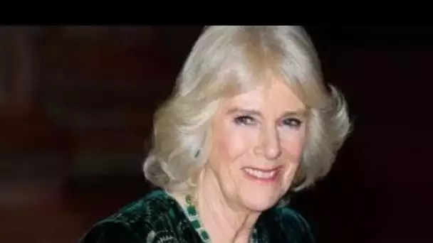 La reine a donné à Camilla le titre de reine consort pour empêcher le prince Harry de lui "faire du