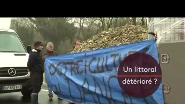 Enquêtes de région : Bretagne, laisse béton ?