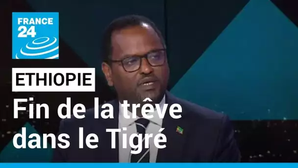 Ethiopie : reprise des hostilités entre les rebelles du Tigré et le gouvernement • FRANCE 24