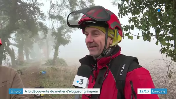 Montez dans les arbres avec les élèves élagueurs grimpeurs de Courcelles-Chaussy et Bar-le-Duc