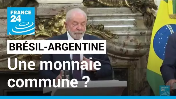 Le Brésil et l'Argentine étudient la création d'une monnaie commune • FRANCE 24