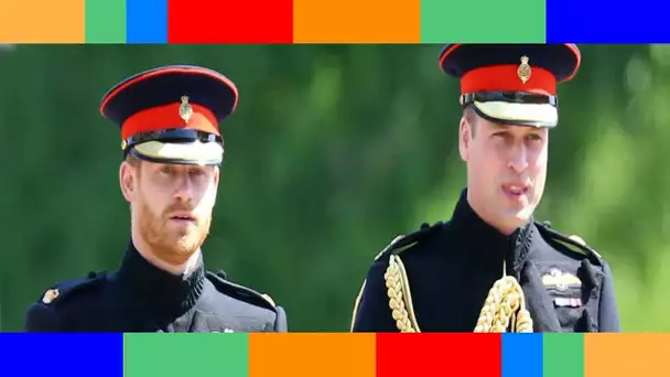 Harry et William  et si leur guerre fratricide prenait un tour inattendu