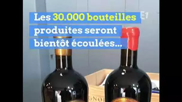 Il a créé un vin qui ressemble à celui que boivent les personnages de Game of Thrones !