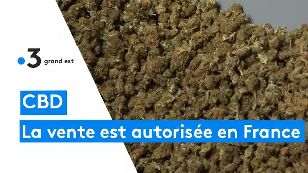 La vente de CBD finalement autorisée en France