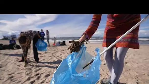 Pollution plastique en mer Baltique : un projet transfrontalier, scientifique et concret