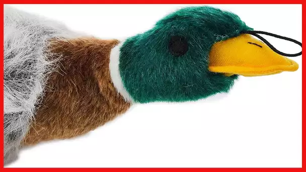 Mallard Migrator Bird Plush Dog Toy