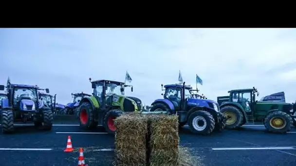 France : un convoi de tracteurs roule vers Rungis