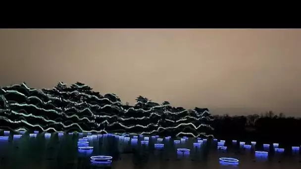 Fête des Lumières 2021 : le retour de la magie et de l'émerveillement à Lyon