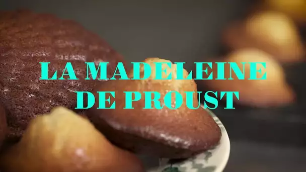 Secrets de gourmandises : la madeleine de Proust à Illiers-Combray