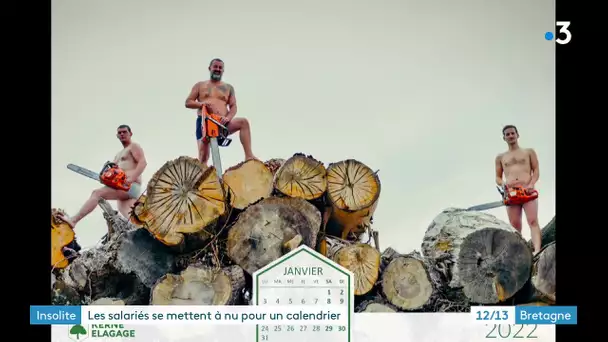 Calendrier : quand les salariés d'une société d'élagage se mettent à poil pour la bonne cause