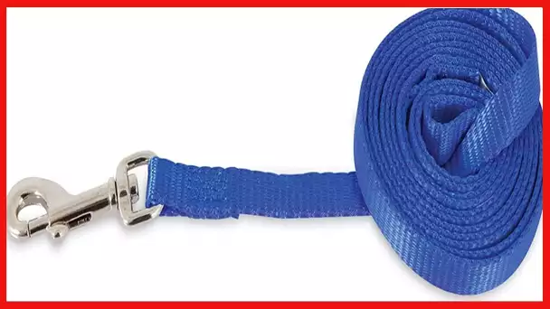 Doskocil Aspen PET 0327846 Pet Supplies Dog Leashes- Leads