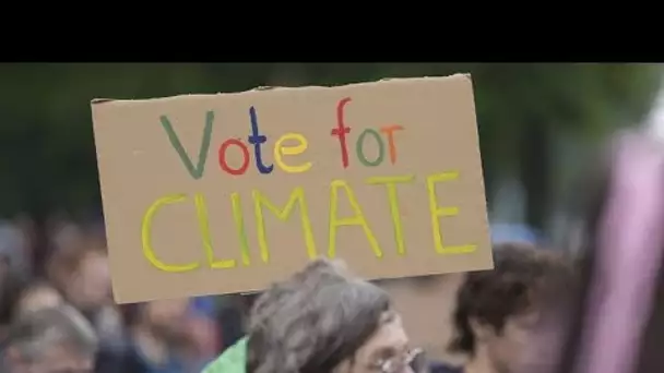 Des manifestations pro-climat dans les rues de Berlin et d'Amsterdam