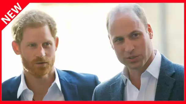 ✅  Interview choc du prince Harry : William prêt à lui tendre la main ?