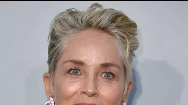 Sharon Stone en deuil : ce bébé de 11 mois qui vient de mourir tragiquement