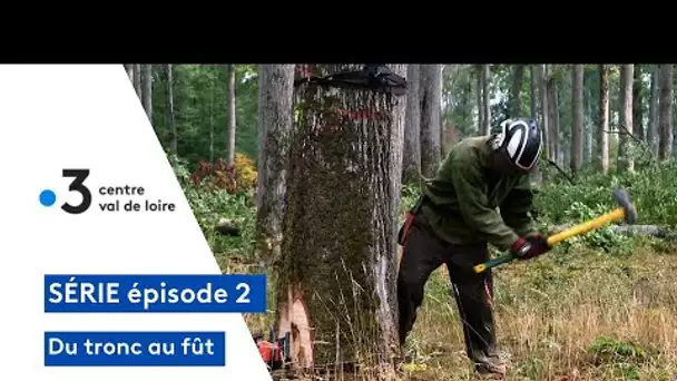 Du tronc au fut : découvrez du métier d'acheteur de parcelles pour fabriquer des tonneaux