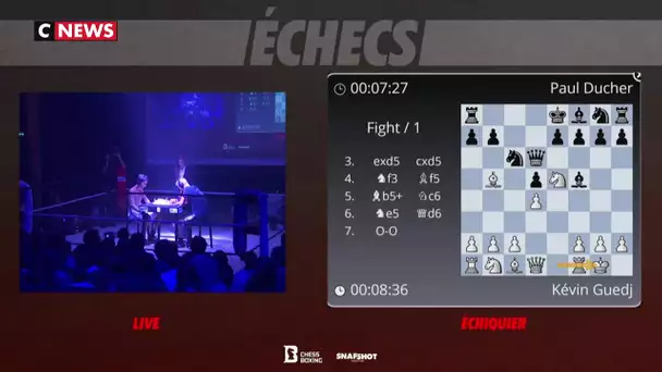 Le chessboxing, un sport qui mélange boxe et échecs