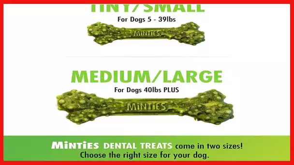 Minties VetIQ Dog Dental Bone Treats, Dental Chews for Tiny/Small Dogs (Under 40 lbs), 80 Count