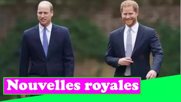 La famille royale a averti que la querelle entre le prince William et Harry éclaterait dans une bata