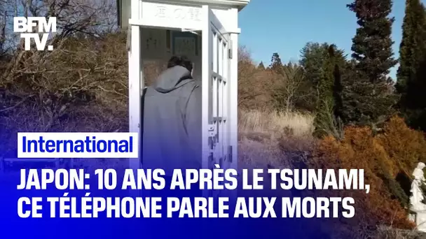 Japon: 10 ans après le tsunami, "le téléphone du vent" parle aux morts