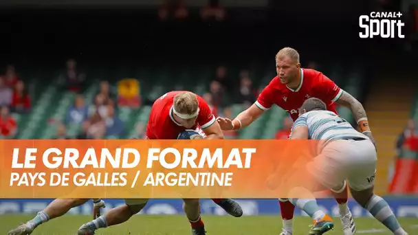 Le grand format de Pays de Galles / Argentine