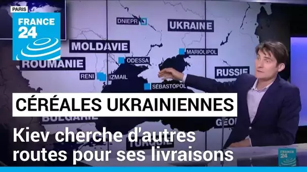 Céréales ukrainiennes : Kiev cherche d'autres routes pour livrer ses céréales • FRANCE 24