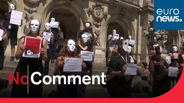 Les guides touristiques manifestent leur colère à Paris