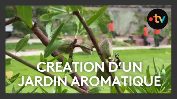 Tours, cité de la gastronomie - Épisode 3 : création d'un jardin biodiversité dans la Villa Rabelais