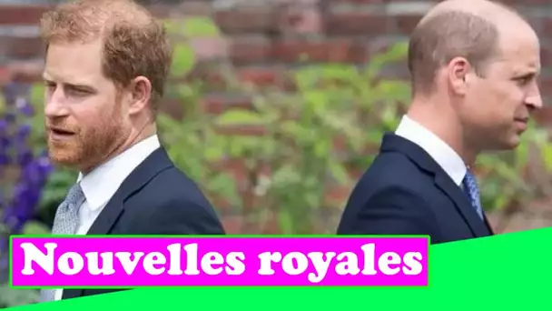 Le prince Harry accusé d'avoir défié William - " Marre d'être le remplaçant de l'héritier "