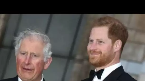 Prince Harry : pourquoi son père Charles a été choqué par son attitude après les...