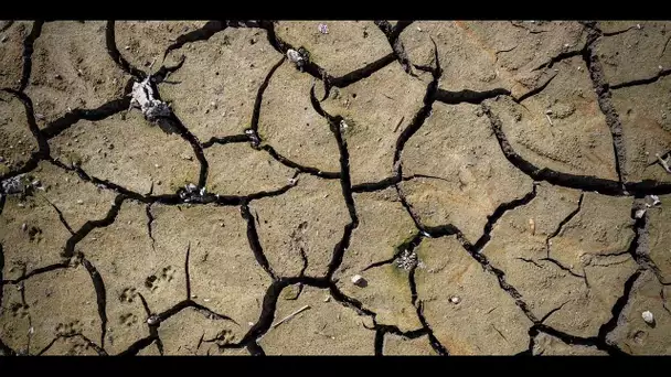 Alerte sécheresse : "repenser les usages" pour réparer des sols en souffrance