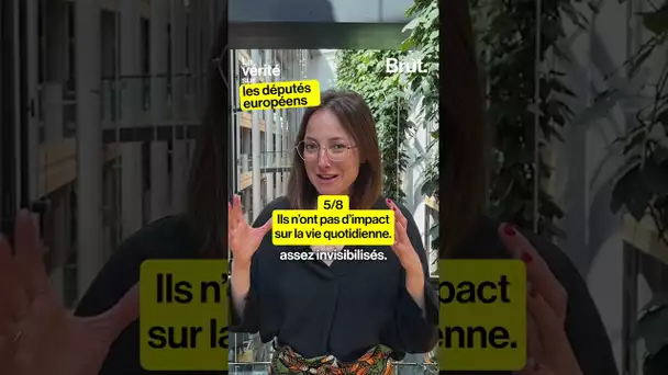 La vérité sur les députés européens par Saskia Bricmont, députée européenne belge (5/8)