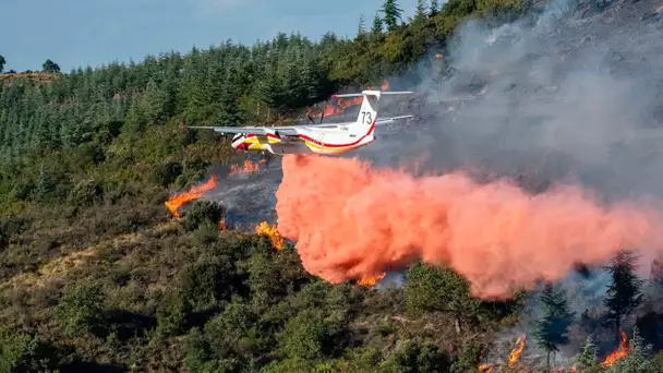 Pyrénées-Orientales : l'incendie près de Castelnou est fixé