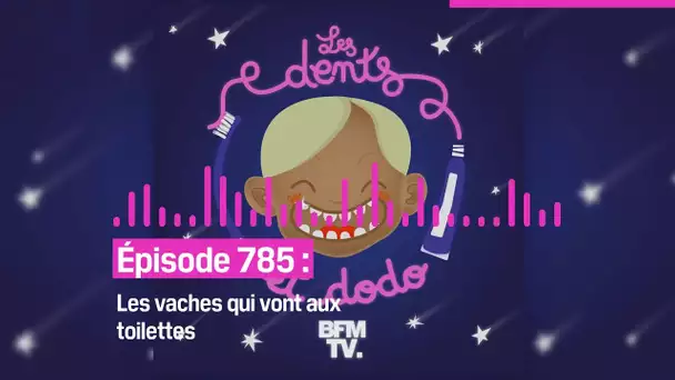 Les dents et dodo - “Épisode 785 : Les vaches qui vont  aux toilettes”