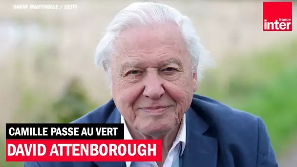 Sir David Attenborough, 95 ans, naturaliste et icône - Camille Passe au Vert