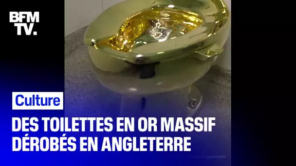 Un WC en or massif de l'artiste Maurizio Cattelan volé dans un palais anglais