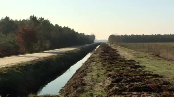 Le projet de parc solaire à Saucats en Gironde fait débat