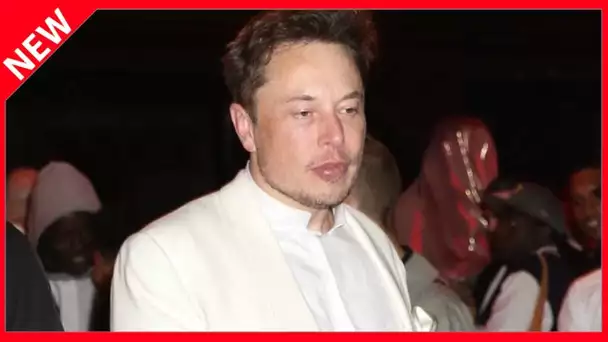 ✅  Parties fines, conflits et plagiat : la vie peu commune du milliardaire Elon Musk