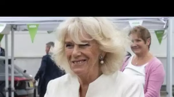 Camilla Parker-Bowles : la duchesse de Cornouailles fête ses 73 ans, un cliché...