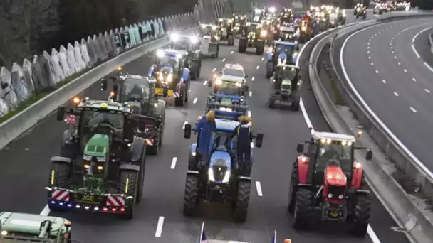 La colère agricole aux portes de Paris