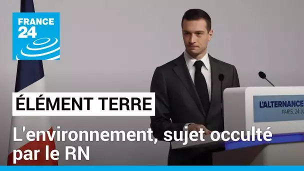 Programme du RN: l'environnement, sujet occulté • FRANCE 24